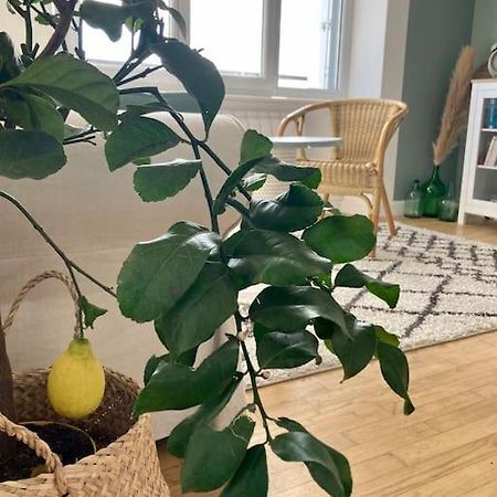 フエナンLe Citronnierアパートメント エクステリア 写真